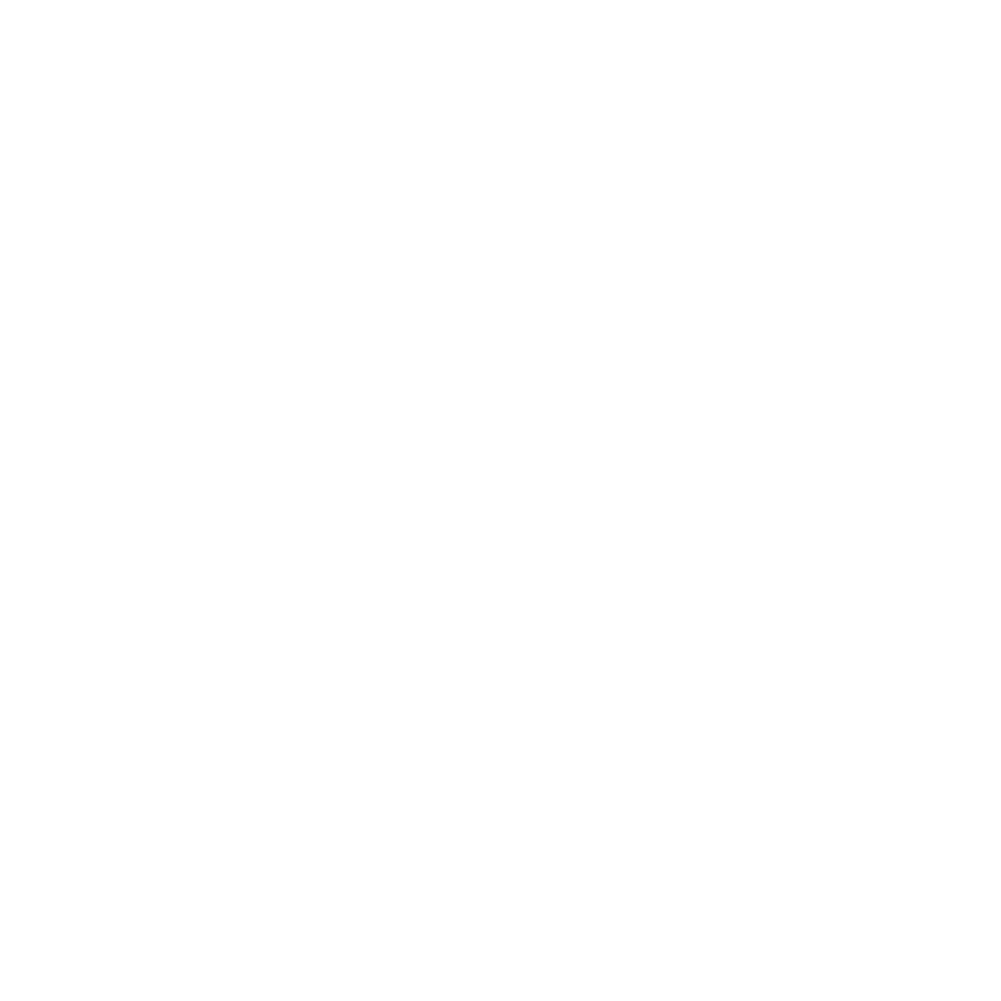 Serena Security Logo 26 png